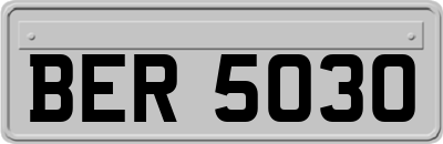 BER5030