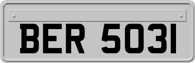 BER5031