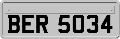 BER5034