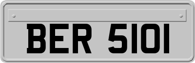 BER5101