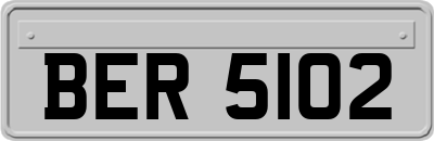 BER5102