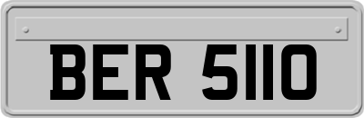 BER5110