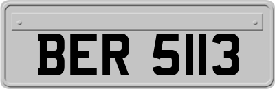 BER5113