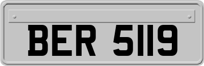 BER5119