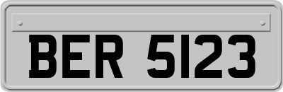 BER5123