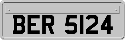 BER5124