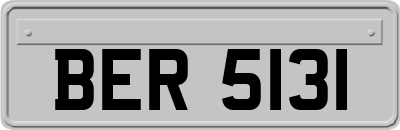 BER5131