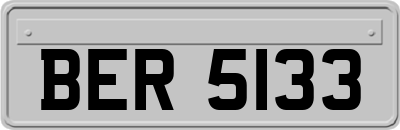 BER5133