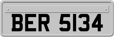 BER5134