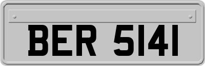 BER5141