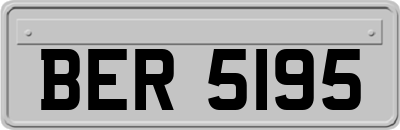 BER5195