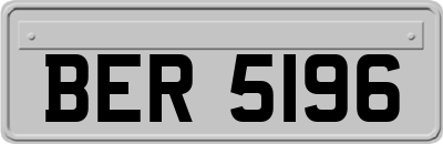 BER5196