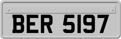 BER5197