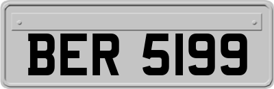 BER5199