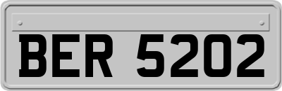 BER5202