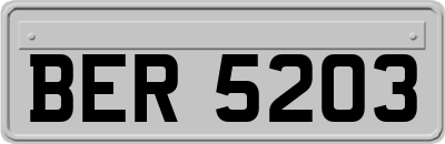 BER5203