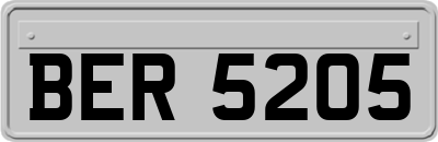 BER5205