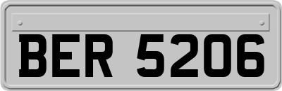 BER5206