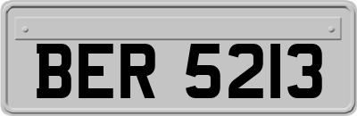 BER5213