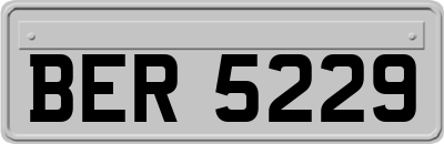 BER5229