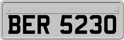 BER5230