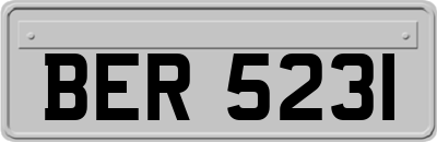 BER5231