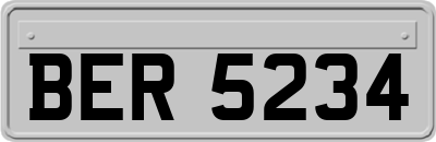 BER5234