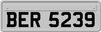 BER5239