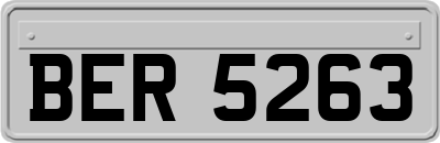 BER5263