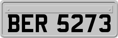 BER5273