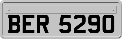 BER5290