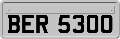 BER5300