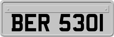 BER5301