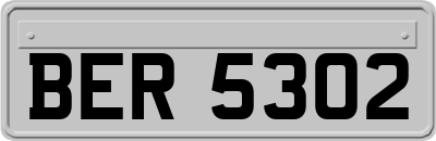 BER5302