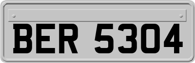 BER5304