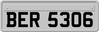 BER5306