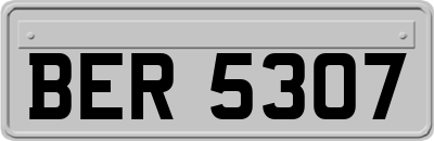 BER5307