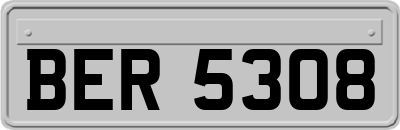 BER5308