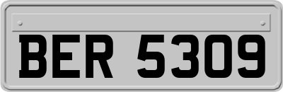 BER5309