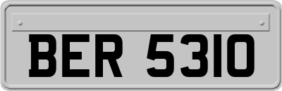 BER5310