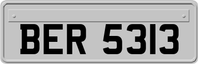 BER5313