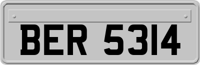 BER5314