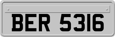 BER5316