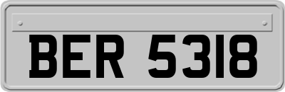 BER5318