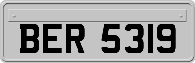 BER5319