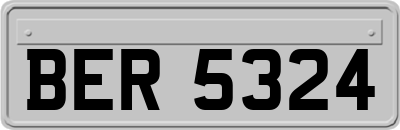 BER5324