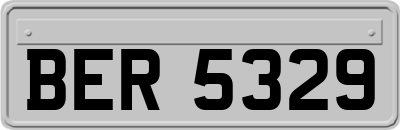 BER5329