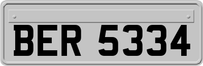 BER5334