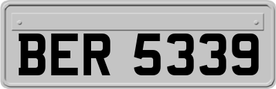 BER5339