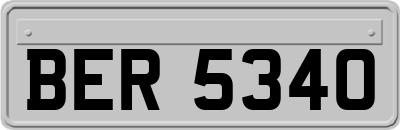 BER5340